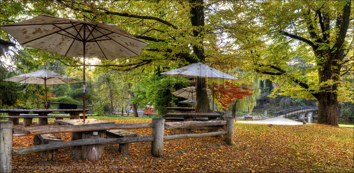 Peter Bellingham Photography Bright - VIC T (PBH3 00 34261)